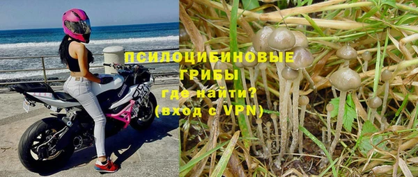 мдпв Абинск