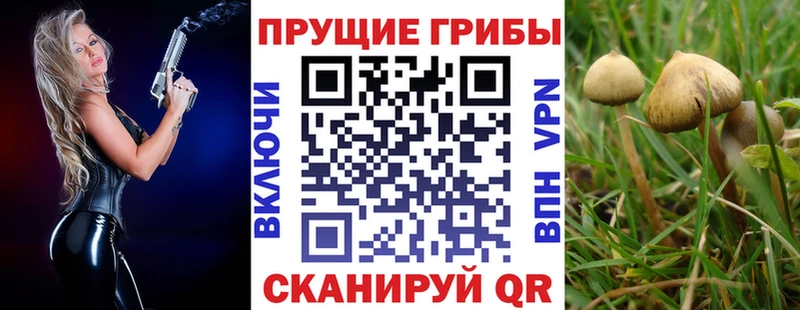 Псилоцибиновые грибы мицелий  купить   Руза 